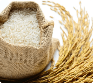Premium rice products by Pansari