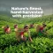 TVOY Dandelion Green Tea Bags 20 Pyramid Tea Bags | Dandelion Tea